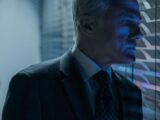 The Consultant