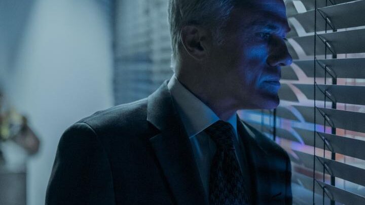 The Consultant