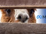 LLaMA Llama AI