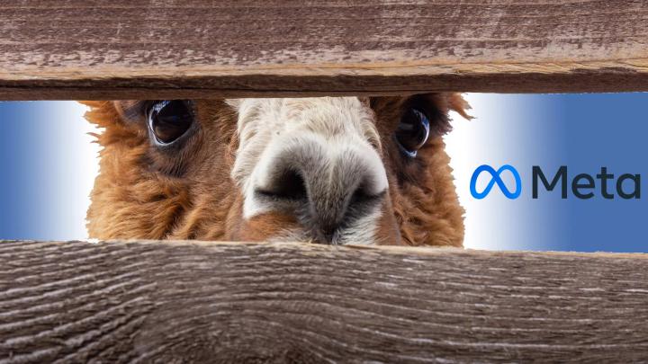 LLaMA Llama AI