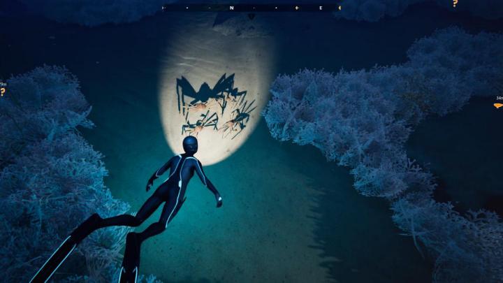 Beyond Blue