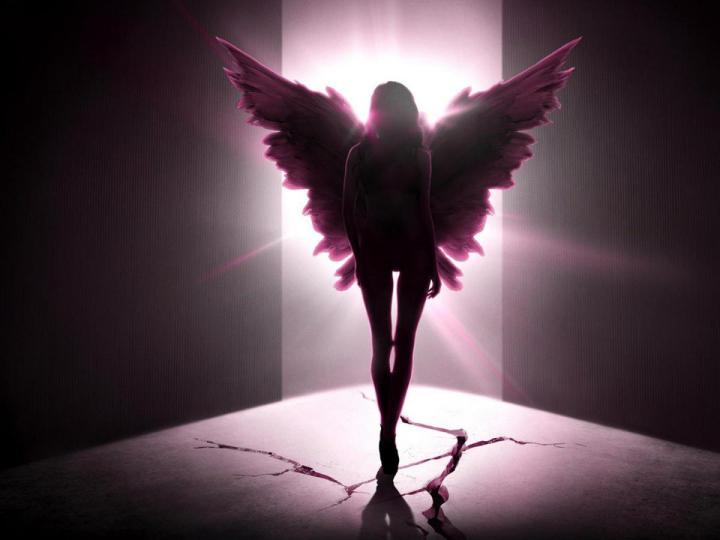 Victoria’s Secret: Anjos e Demónios estreia hoje em Portugal Victoria’s Secret: Anjos e Demónios estreia hoje em Portugal