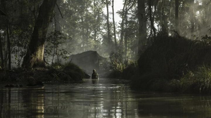 Fear the Walking Dead