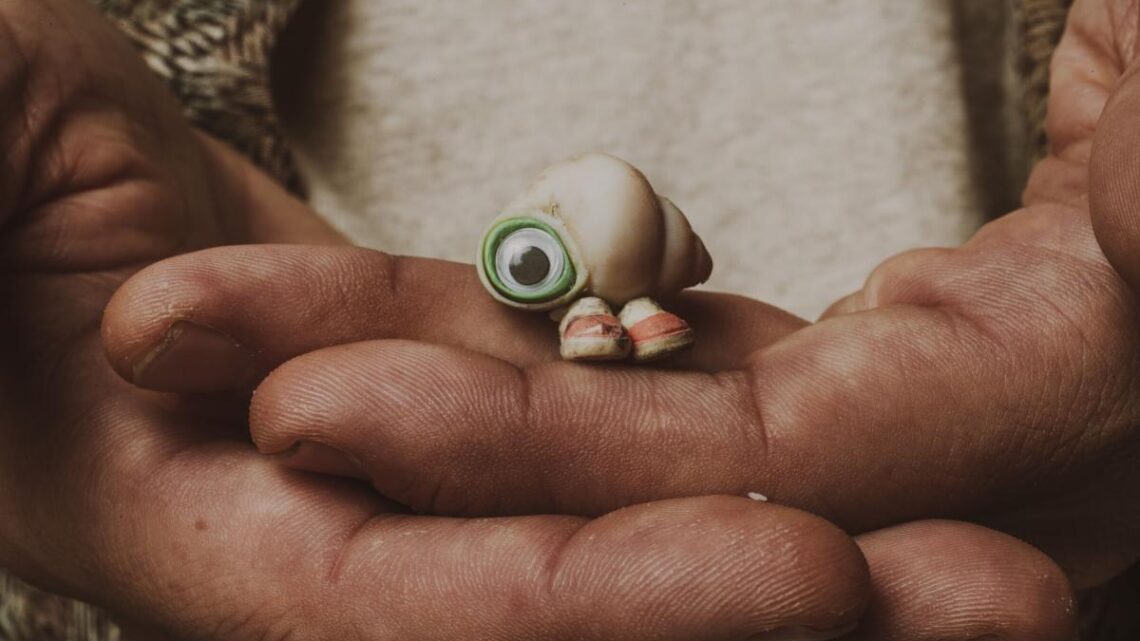 Marcel The Shell With Shoes On estreia hoje na SkyShowtime Marcel The Shell With Shoes On estreia hoje na SkyShowtime