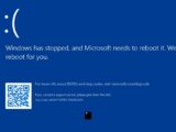 Windows 11