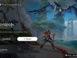 PlayStation 5 streaming