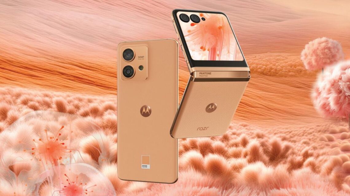 Cor do Ano 2024 para a Pantone chega aos smartphones da Motorola Cor do Ano 2024 para a Pantone chega aos smartphones da Motorola