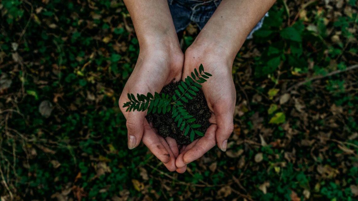 TP-Link reforça compromisso com a sustentabilidade e inovação ecológica TP-Link reforça compromisso com a sustentabilidade e inovação ecológica