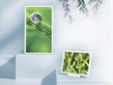 Sharp ePaper